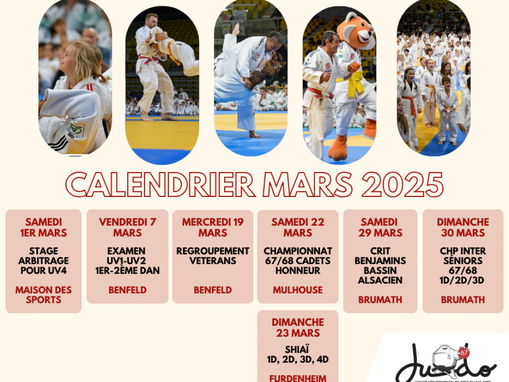 Image de l'actu 'ACTUALITES MARS 2025'