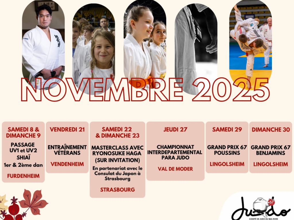 Image de l'actu 'ACTUALITES NOVEMBRE 2025'