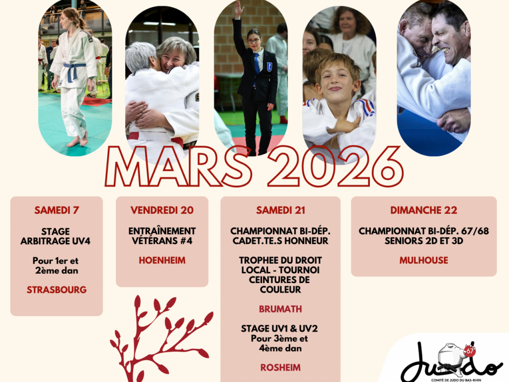Image de l'actu 'ACTUALITES MARS 2026'